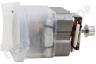 Kenwood Motor