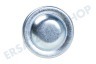 Alternative 59504 Membranregler für Pumpe