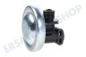 Alternative 59504 Membranregler für Pumpe