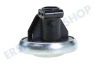 Alternative 59504 Membranregler für Pumpe