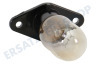 Bauknecht Ofen-Mikrowelle Lampe 25W -mit Befestigunsplatte-