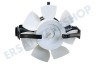 Venta Motor Anthrazit