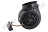 Inventum Abzugshaube Motor