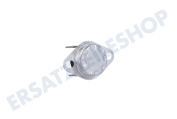 Hisense HK1908037  Thermostat geeignet für u.a. WD10514S, WDBL1014V