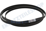 Electra 1254242504 Trockner Filter Flusenfilter geeignet für u.a. ZTE130, ZTE273, EDC77150W