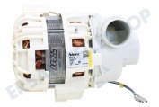 Zanussi 50299965009 Spülmaschine Pumpe Umwälzpumpe geeignet für u.a. F40742, ZDI210W, ZDF306
