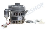Whirlpool 1740701900 Geschirrreiniger Pumpe Umwälzpumpe, Motor geeignet für u.a. DFS2531, DIS1520, DSFS6530