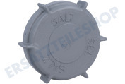 Strijbosch 700381 Geschirrspüler Deckel geeignet für u.a. GDV641XL, VA98211QT