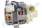 Inventum 30401000601 Spülmaschinen Umwälzpumpe geeignet für u.a. IVW6008A, VVW6035AS, VVW7040S