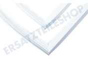 Ikea 2248016962 Kühlschrank Dichtungsgummi Magnetdichtung geeignet für u.a. SCT71800S1, SCE61826NS