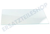 Clatronic 2062321068 Kühlschrank Kühlfach Glasplatte geeignet für u.a. RJ2300AOW2, S72300DSW1