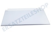 Ikea 4055588182 Tiefkühlschrank Glasplatte komplett geeignet für u.a. HAFTIGT20282367, HAFTIGT40282366