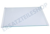 Ikea 2251538035 Eiskast Glasplatte komplett geeignet für u.a. AGN71000S0, FRYSA