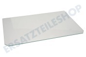 Indesit 254582, C00254582 Tiefkühler Glasplatte 463x291 über dem Gemüsefach geeignet für u.a. CA55, FFA52P