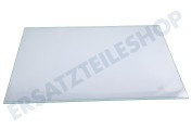 Hotpoint 114617, C00114617 Kühlschrank Glasplatte Gemüseschublade geeignet für u.a. ETM17211VF, MTM1812F