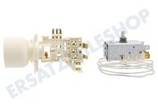 Alternative 481228238179 Kühlschrank Thermostat Ranco K59L1229500 esetzt Atea A13 0704 geeignet für u.a. ARG9703, KRI2212A, ARG915