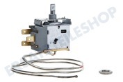 Whirlpool C00511493  Thermostat 3 Kont. Cap.L = 64cm. Hohes Modell geeignet für u.a. KVA160, ARC1031, WM1550