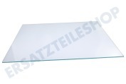 Constructa Kühlschrank 709677, 00709677 Glasablage geeignet für u.a. GS51NAW4002, GS51NCW4001