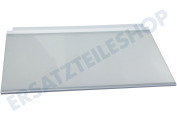 Constructa 667750, 00667750 Kühlschrank Glasablage geeignet für u.a. K5754X1, KI25FA65