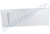 Blaupunkt 11044421  Gefrierfachklappe komplett inklusive Griff und Dichtung geeignet für u.a. KIL42NFF0, KI42LVSE0