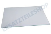 Atag 46589 Kühlschrank Glasplatte geeignet für u.a. KS22178A, KD62178B, KS32178B