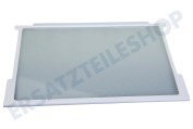 Smeg 179038 Tiefkühltruhe Glasteller geeignet für u.a. EEK140VA, EEK150A, EEK260VA