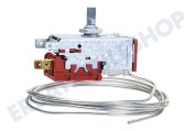 Pelgrim 408161 Kühlschrank Thermostat 3 Kont. Kap.L = 120cm. geeignet für u.a. AK2088, AK1102, EEK141