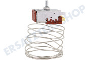 Etna 625763 Gefrierschrank Thermostat geeignet für u.a. KKS8102, KKS8122