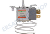 Iberna 49036134 Kühlschrank Thermostat geeignet für u.a. CTOP130, CHTOP482