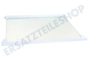 Bomann 4617920500  Glasplatte für Kühlschrank geeignet für u.a. CS240, DS250, RBI1400