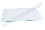 Beko 4362729100  Glasplatte geeignet für u.a. FN130930, FNE290E20