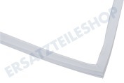 7111020 Eiskast Dichtungsgummi 660 x 580mm -Gefrierschrank- geeignet für u.a. KGD3223, KSD3524, KGK4055