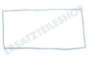 Liebherr 7109395 Kühlschrank Dichtungsgummi Weiß geeignet für u.a. FKv541020001, FKv541020006, FKv541020E048