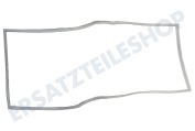 Liebherr 7111170 Tiefkühlschrank Dichtungsgummi Magnettür, Grau geeignet für u.a. SGNes301024C001, SKBes421024F001