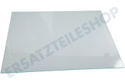 Liebherr 7276106 Kühlschrank Glasplatte 3,2 mm Sicherheitsglas geeignet für u.a. G351320001, GP351320001