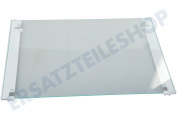 Liebherr 7277172 Eiskast Glasplatte komplett geeignet für u.a. IGN351420B107, SIGN357621D101