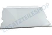 Liebherr 7272149 Kühlschrank Glasplatte komplett