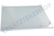 Liebherr 7276280 Eisschrank Glasplatte komplett geeignet für u.a. GN700 2017