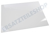 Liebherr Kühlschrank 7271460 Glasplatte geeignet für u.a. GN185320, GN191320
