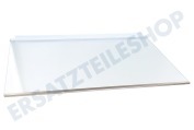 Liebherr Tiefkühlschrank 7272874 Glasplatte geeignet für u.a. CN421320A, CNP481321A, CP431320A