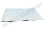 Liebherr 7272472 Eisschrank Glasplatte inkl. Leisten geeignet für u.a. KP422021D088, K427022001