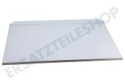 Liebherr 7272111  Glasplatte Komplett, Oben geeignet für u.a. CN431321E147, CN481321E001