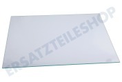 Liebherr Kühlschrank 7277152 Glasablagefach geeignet für u.a. CB481520A001, CBN481520A088