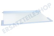 Liebherr Tiefkühlschrank 9293003 Glasplatte geeignet für u.a. KI1633, KI2433