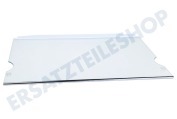 Liebherr 9293882 Eiskast Glasplatte mit Zierleisten geeignet für u.a. CN303324, CUN30332, CUP272123