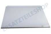 Liebherr Kühler 7272113 Glasplatte geeignet für u.a. CNel481321E147