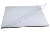 Liebherr Eisschrank 7272876 Glasplatte geeignet für u.a. CNel481320A116