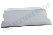 Liebherr 7276029 Eisschrank Glasplatte komplett geeignet für u.a. ICNSf510320, IRe402020