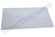 Liebherr 7276031 Eisschrank Glasplatte des 4-Sterne-Gefrierfachs geeignet für u.a. IRBdi515120, IRfi512120