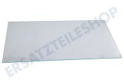 Liebherr 7271849 Eisschrank Glasplatte geeignet für u.a. GN1066, GNP1066, GN1056